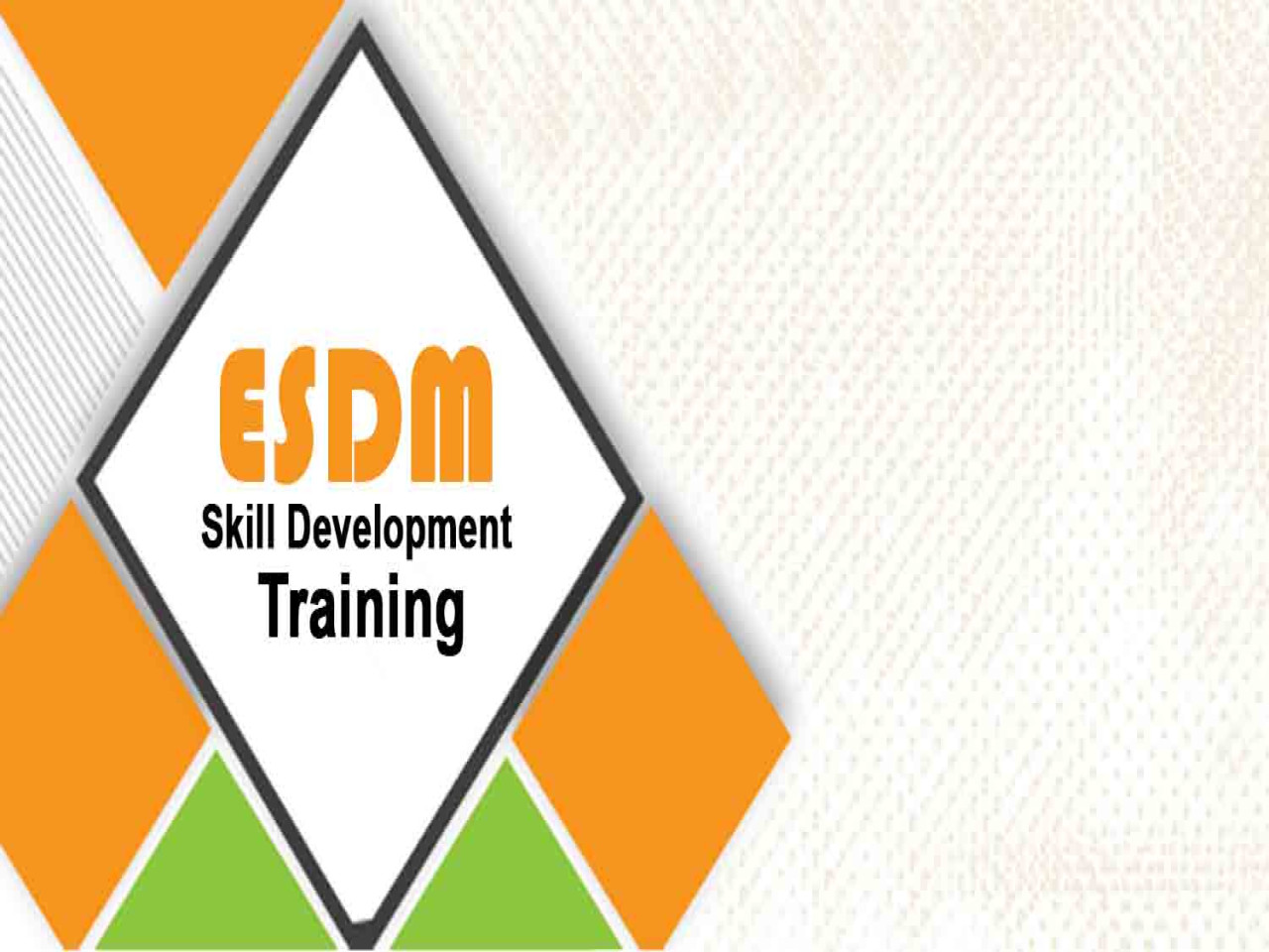 Electronic System Design and Manufacturing (ESDM)